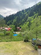 soylu otel restoran