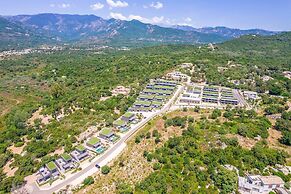 Sun-drenched Corsican Flat