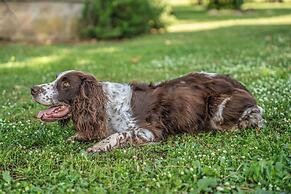 Podere Pala - Pet Friendly