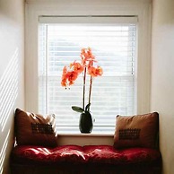 Chestnut Street Inn B&B