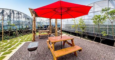 Soborok Yoborok Pension