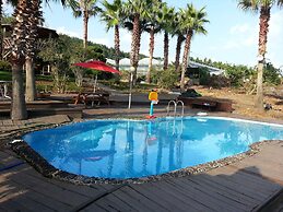 Palace in the Forest Pension