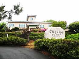 Palace in the Forest Pension