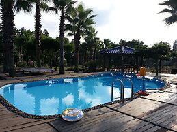 Palace in the Forest Pension