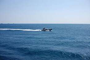 Palace in the Forest Pension