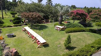 Palace in the Forest Pension