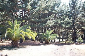 Palace in the Forest Pension