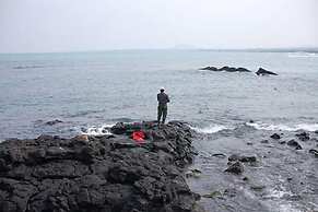 Palace in the Forest Pension