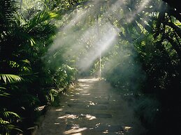 Nômade Temple Tulum