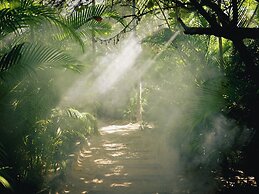 Nômade Temple Tulum