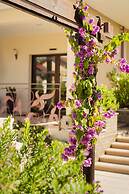 Rumi Hotels & SPA