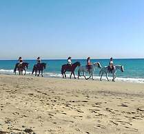 Rumi Hotels & SPA