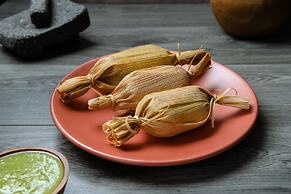 Fiesta Inn Villahermosa Cencali