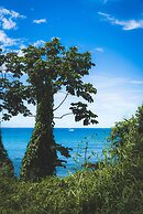 Mount Irvine Bay Resort