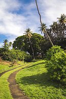 Mount Irvine Bay Resort