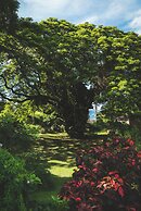 Mount Irvine Bay Resort