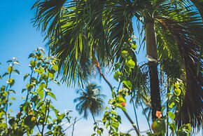 Mount Irvine Bay Resort