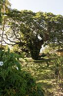 Mount Irvine Bay Resort