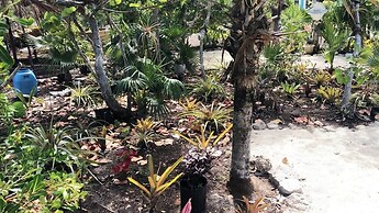 Rollezz Villas Beach Resort