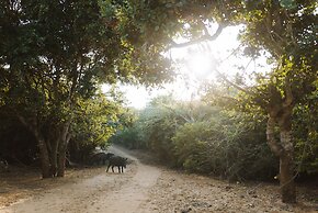 Jetwing Jungle Lodge, A Luxury Reserve