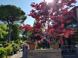 Hotel Classensis