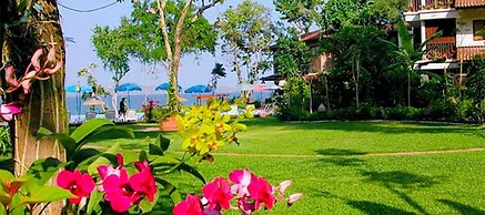 Birds and Bees Resort