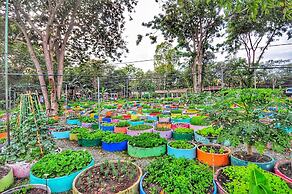 Birds and Bees Resort