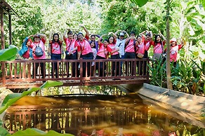 Birds and Bees Resort