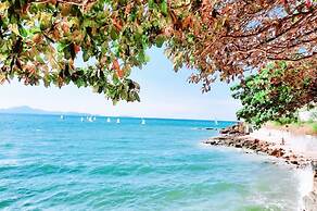 Birds and Bees Resort