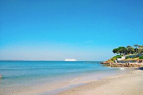 Birds and Bees Resort