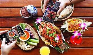 Birds and Bees Resort