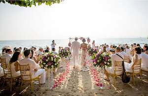 Birds and Bees Resort