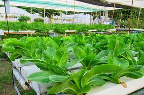 Birds and Bees Resort