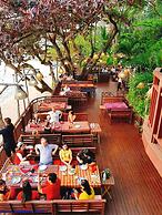 Birds and Bees Resort