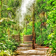 Birds and Bees Resort