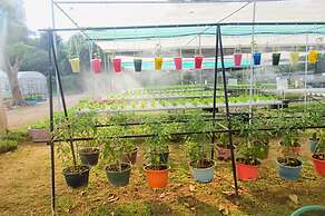 Birds and Bees Resort