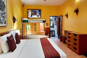 Birds and Bees Resort