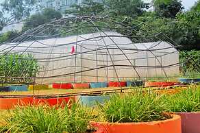 Birds and Bees Resort