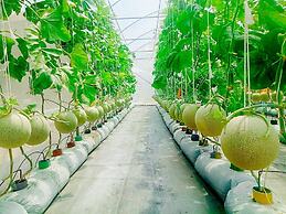 Birds and Bees Resort