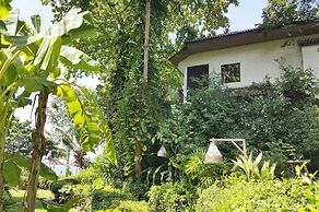 Birds and Bees Resort