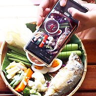 Birds and Bees Resort