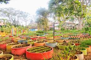 Birds and Bees Resort