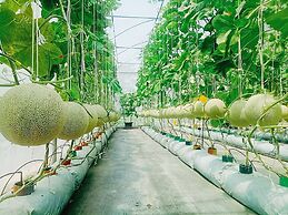 Birds and Bees Resort