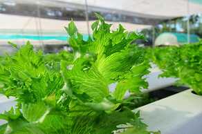 Birds and Bees Resort