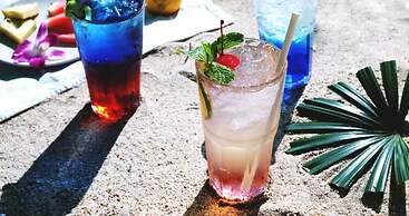 Birds and Bees Resort