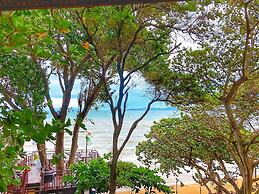 Birds and Bees Resort