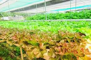 Birds and Bees Resort