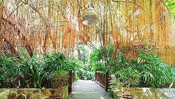 Birds and Bees Resort