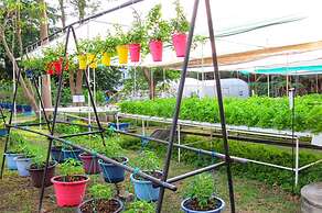 Birds and Bees Resort