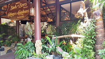 Birds and Bees Resort